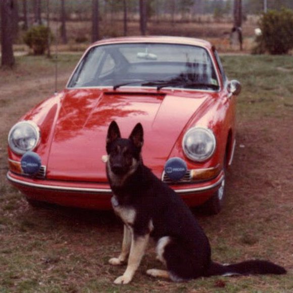 Meet your Posher, Orrin - Picture 8 of 10